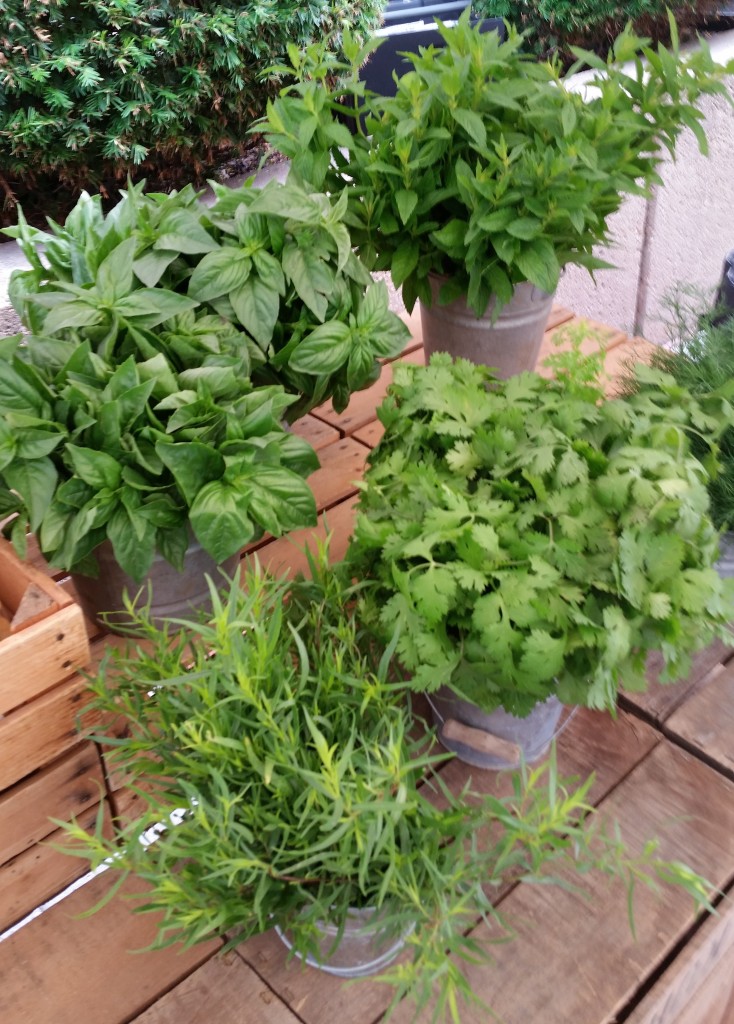 How to Properly Keep Your Fresh Herbs Kuhn Orchards